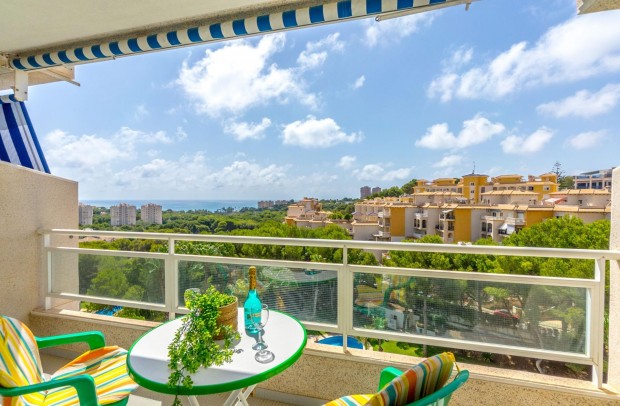 Reventa - Apartment - Orihuela - Zona Centro