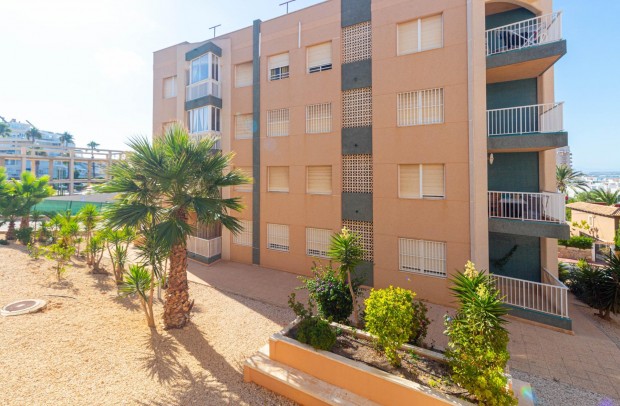 Reventa - Apartment - Torrevieja - La Mata