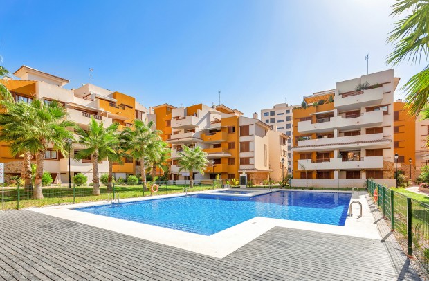 Reventa - Apartment - Punta Prima - La Recoleta