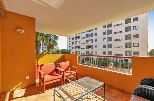 Resale - Apartment - Punta Prima - La Recoleta