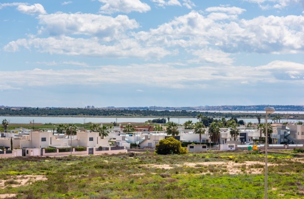 Nueva construcción  - Detached House / Villa - Los Montesinos - La Herada