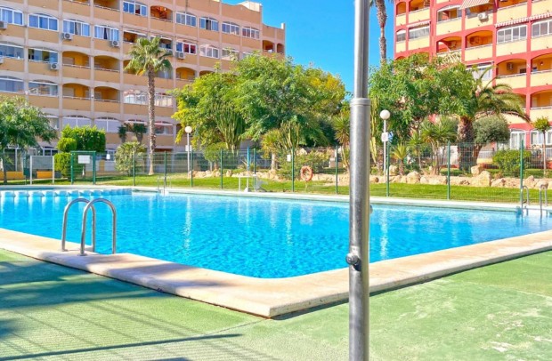 Reventa - Apartment - Torrevieja - Torrelamata - La Mata