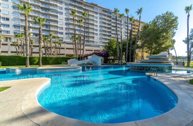 Revente - Apartment - Orihuela Costa - Campoamor