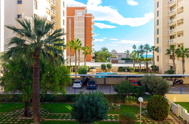 Reventa - Apartment - Torrevieja - La veleta