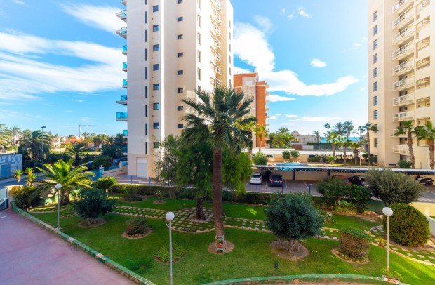 Reventa - Apartment - Torrevieja - La veleta