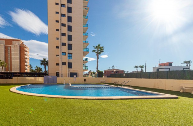 Reventa - Apartment - Torrevieja - La veleta