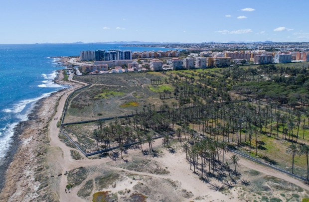 Reventa - Apartment - Torrevieja - La veleta