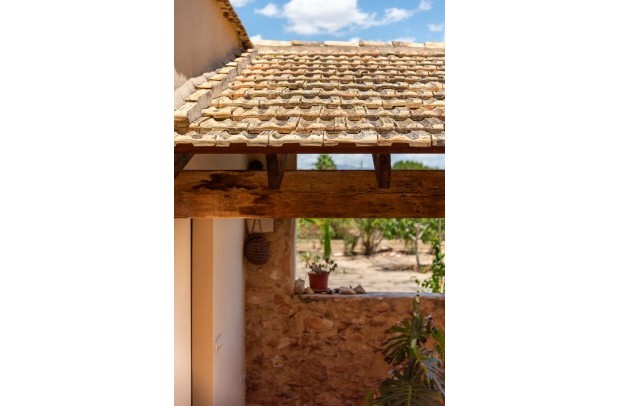 Reventa - Country Property - Elche - Elche/Elx