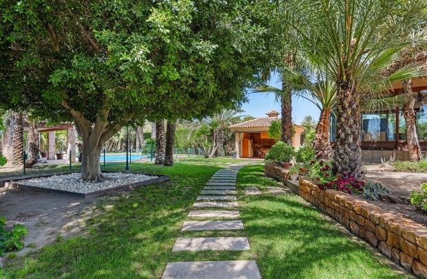 Revente - Villa Detached - Elche