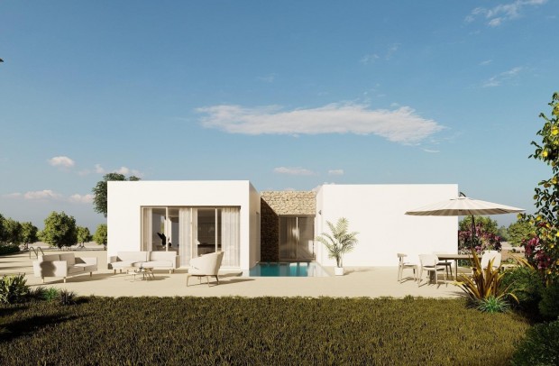 Nueva construcción  - Villa Detached - Algorfa