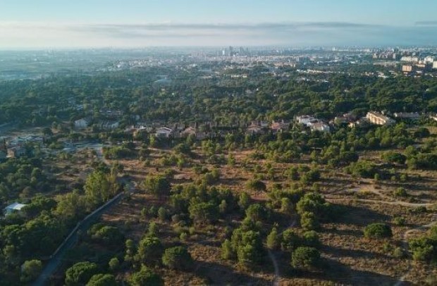 New Build - Apartment - Godella