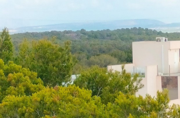 New Build - Detached House / Villa - Orihuela Costa - Pau 26