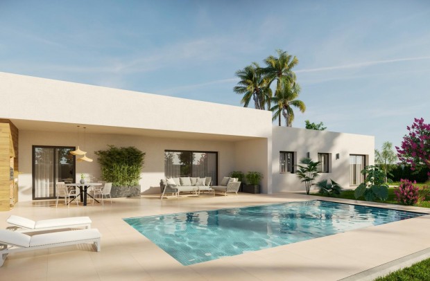 Nouvelle construction - Detached House / Villa - Aspe - Poligono 19