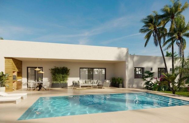 Nouvelle construction - Detached House / Villa - Aspe - Poligono 19