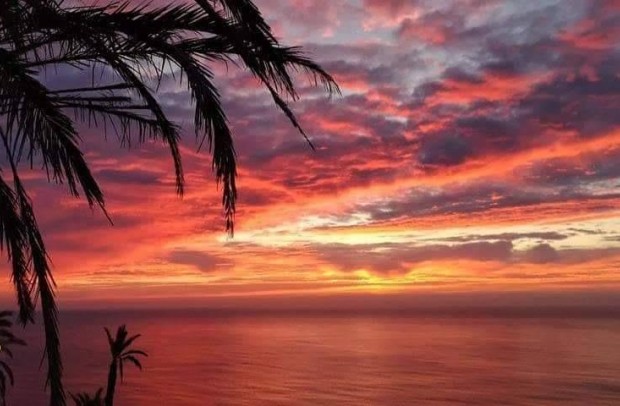 Nueva construcción  - Bungalow - Torrevieja - Altos del Sol