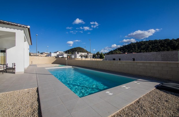 Nueva construcción  - Detached House / Villa - Pinoso - Lel