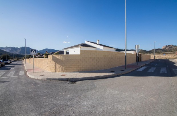 Nueva construcción  - Detached House / Villa - Pinoso - Lel