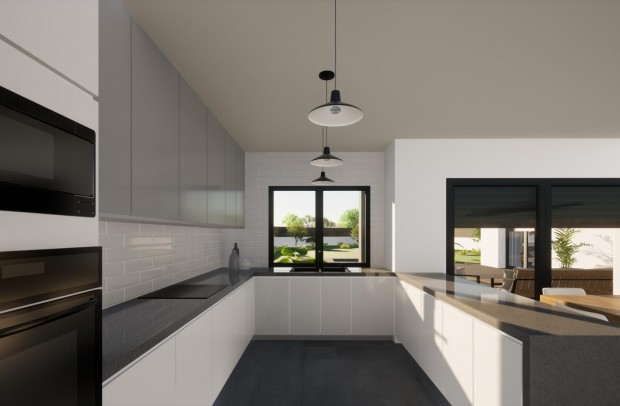 Nouvelle construction - Detached House / Villa - Pinoso - Lel