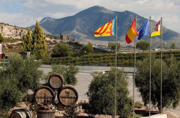 Nouvelle construction - Detached House / Villa - Pinoso - Lel