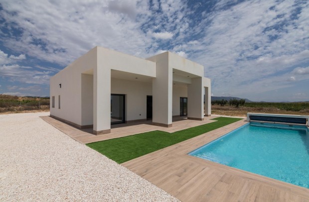 Nueva construcción  - Detached House / Villa - Pinoso - Lel