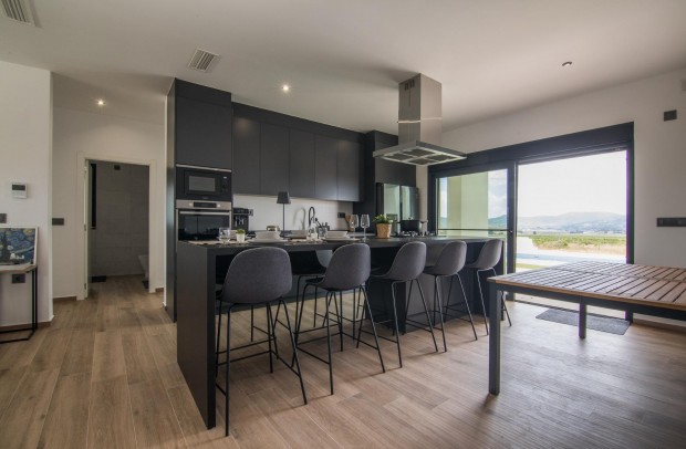 Nueva construcción  - Detached House / Villa - Pinoso - Lel