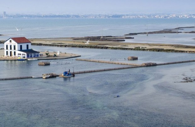 New Build - Detached House / Villa - San Pedro del Pinatar - El salero