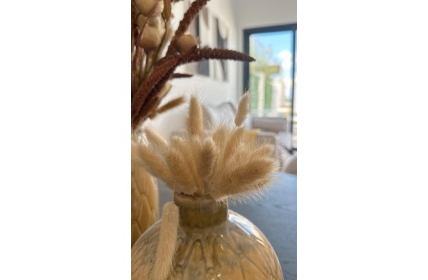 New Build - Bungalow - San Fulgencio - Pueblo