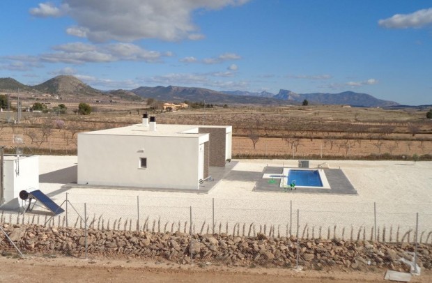 New Build - Detached House / Villa - Pinoso - Camino Del Prado