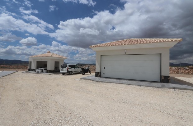 Nueva construcción  - Detached House / Villa - Pinoso - Camino Del Prado