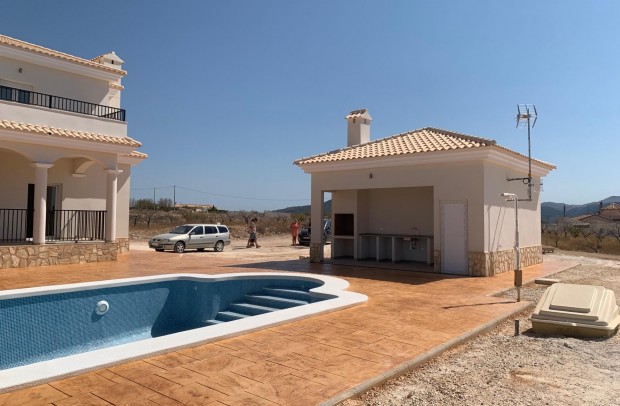 Nueva construcción  - Detached House / Villa - Pinoso - Camino Del Prado
