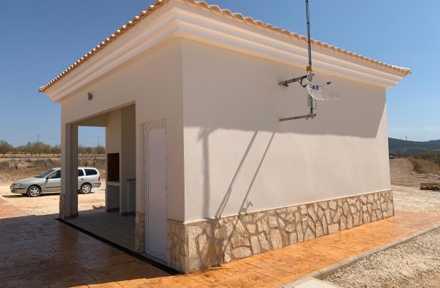 Nueva construcción  - Detached House / Villa - Pinoso - Camino Del Prado