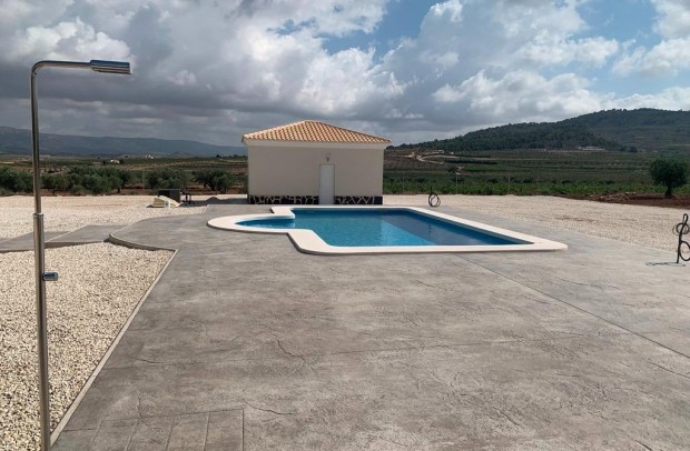 Nueva construcción  - Detached House / Villa - Pinoso - Camino Del Prado