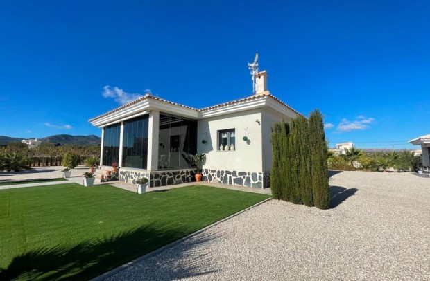 Nueva construcción  - Detached House / Villa - Pinoso - Camino Del Prado