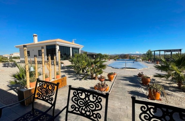 Nueva construcción  - Detached House / Villa - Pinoso - Camino Del Prado