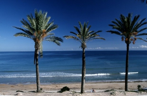 Nouvelle construction - Bungalow - Pilar de la Horadada - Parque Ramon eugenio Escudero