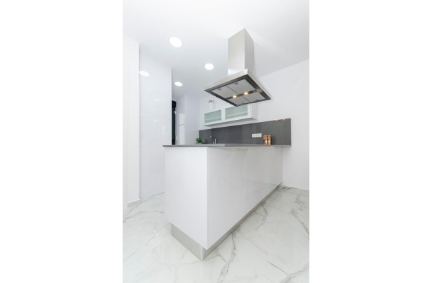 New Build - Detached House / Villa - Torrevieja - Torretas