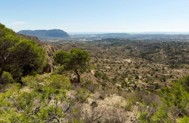 New Build - Detached House / Villa - Aspe - Centro