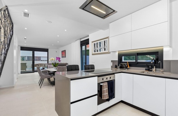 Nueva construcción  - Detached House / Villa - Guardamar del Segura - Els secans