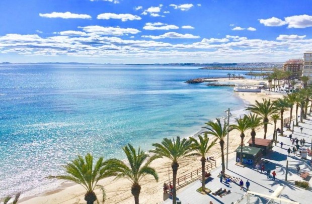 New Build - Detached House / Villa - Torrevieja - Lago Jardín II