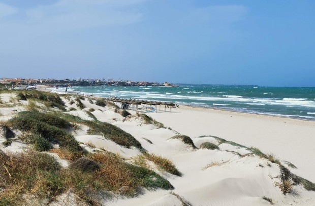 Nouvelle construction - Detached House / Villa - Pilar de la Horadada