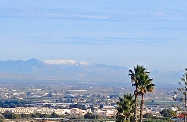 Resale - Detached House / Villa - Algorfa - Lomas de Juliana