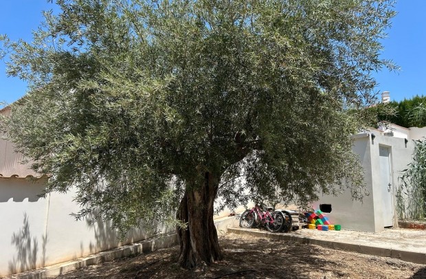 Resale - Detached House / Villa - Ciudad Quesada - Rojales