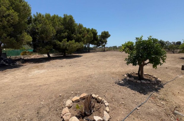 Resale - Country Property - Torrellano - Elche
