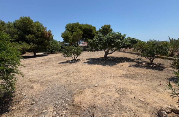 Resale - Country Property - Torrellano - Elche