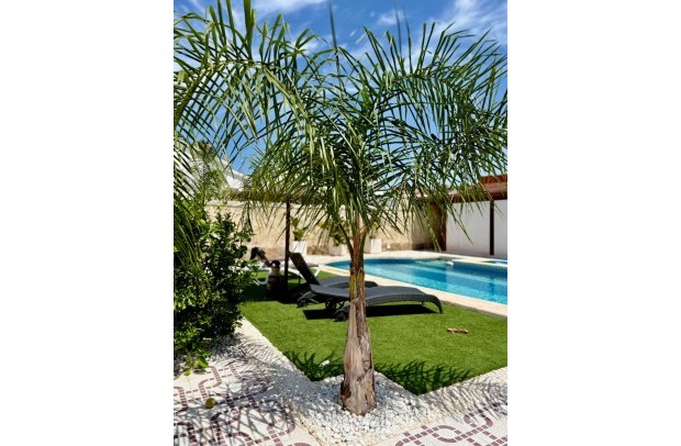 Resale - Villa / Detached - Ciudad Quesada - Quesada Center