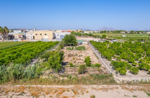Resale - Plot - Formentera del Segura - Formentera de Segura