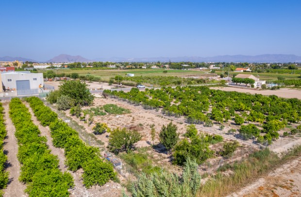 Resale - Plot - Formentera del Segura - Formentera de Segura