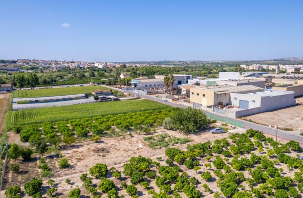 Resale - Plot - Formentera del Segura - Formentera de Segura