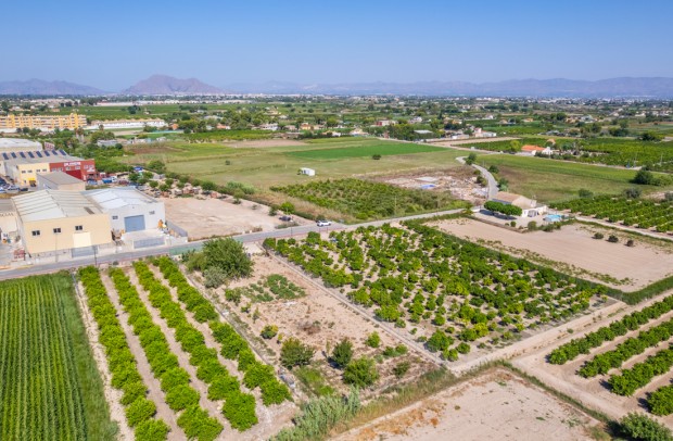 Resale - Plot - Formentera del Segura - Formentera de Segura