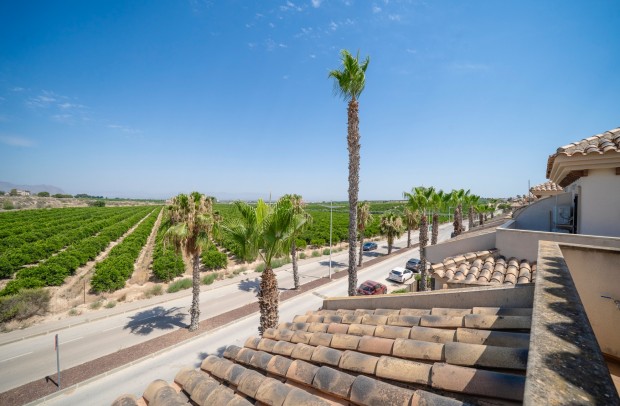 Revente - Bungalow - Algorfa